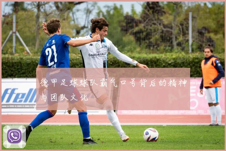 德甲足球球队霸气口号背后的精神与团队文化