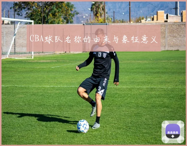 CBA球队名称的由来与象征意义