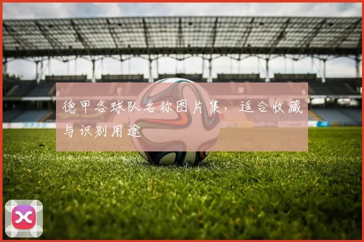 德甲各球队名称图片集，适合收藏与识别用途