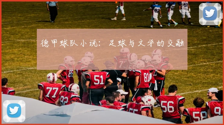 德甲球队小说：足球与文学的交融