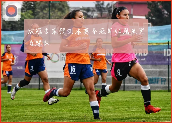 欧冠专家预测本赛季冠军归属及黑马球队