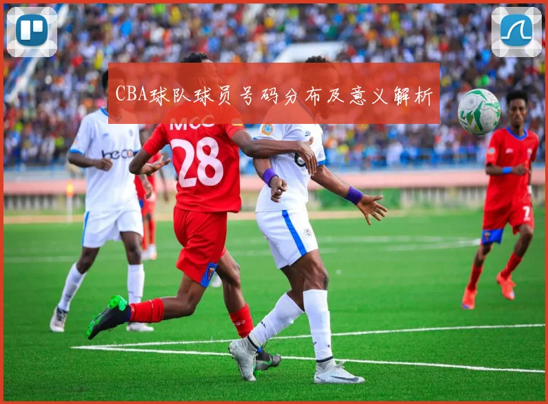 CBA球队球员号码分布及意义解析
